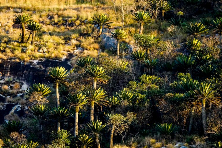 Crane Hire in Modjadjiskloof for Tight Access and Material Placement Work