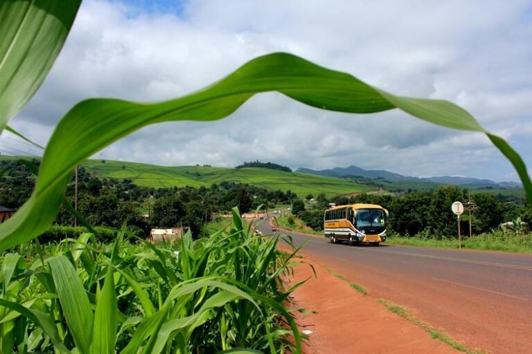 Crane Hire in Thohoyandou for Public Works, Building and Site Handling